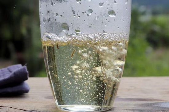 三年白茶賽砒霜，這是真的嗎？