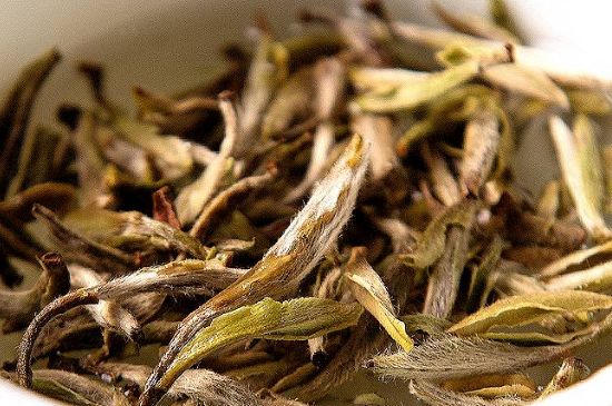 荒野銀針市場價(jià)多少，真正的荒野白毫銀針多少錢？