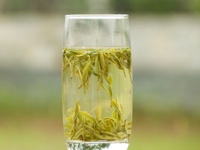 霍山黃芽算是好茶嗎，霍山黃芽屬于什么茶？