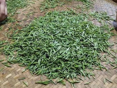 金駿眉幾年可以算陳茶，金駿眉新茶好還是老茶