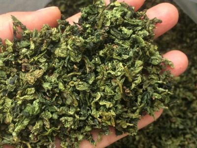 鐵觀音毛茶茶梗可以泡水喝嗎，鐵觀音帶梗是不是好茶？