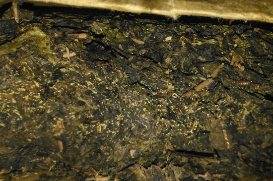 黑茶茯茶保存五大忌，茯茶收藏的注意事項