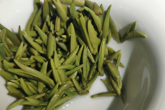 竹葉青茶怎么泡，竹葉青如何沖泡