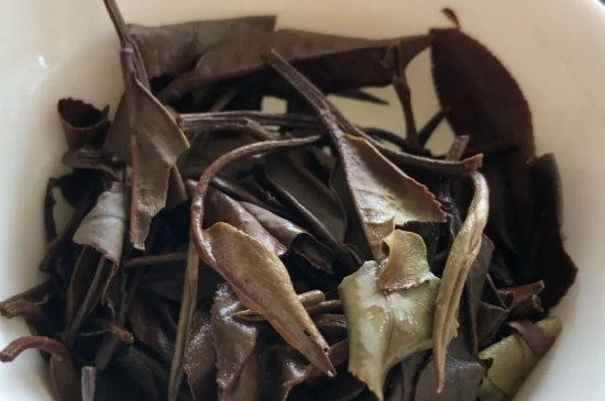 老白茶上火還是去火？夏季喝煮的老白茶會容易上火！