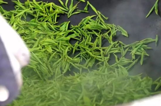 碧螺春為什么泡水渾濁，碧螺春茶葉泡水感覺很臟是混濁的